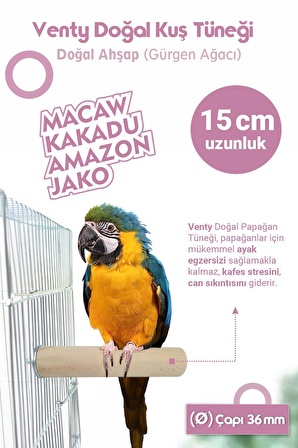 Vixpet Venty 4'lü Büyük Papağan Tüneği 15 cm 36 mm / Doğal Ahşap Papağan Tünekleri