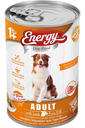 Energy Pet Food Energy Kuzu Etli Yetişkin Islak Köpek Konserve Maması 415 Gram 80 Adet