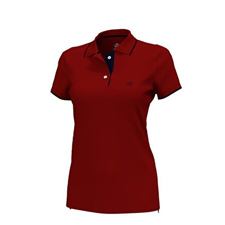 Polo Yaka Çizgili Pamuklu  Kadın  T-shirt Bordo-S