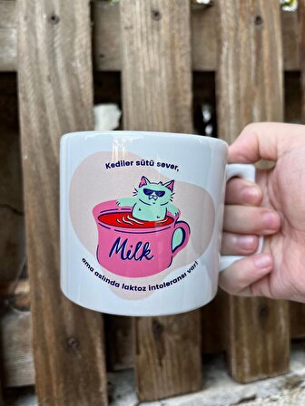 Cat Mug Seramik Kahve Çay Kupası