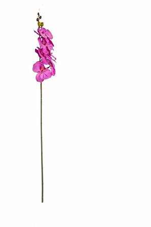 Yapay Orkide Çiçeği Dalı Mor 80 Cm
