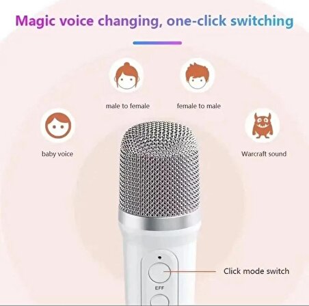 YS 110 RGB LED Işıklı Karaoke Mikrofonlu Taşınabilir Kablosuz Hoparlör