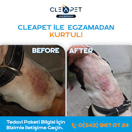 Cleapet Exclusıve Seri Nano Sprey 250 ML