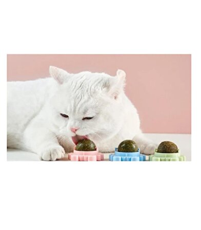 Kedi Nanesi Oyun Topu Tutacağı Yengeç Oyuncak Kedi