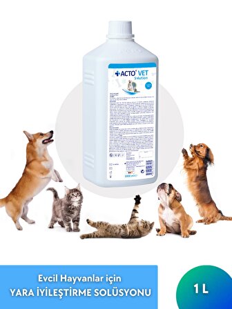 ACTO® VET SOLUTION 1 LT | Evcil Hayvanlar için Yara İyileştirme Solüsyonu