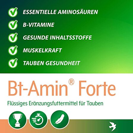 Röhnfried Bt-Amin Forte B Vitamini Takviyesi 1 Lt