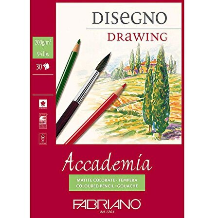 Fabriano Accademia Disegno 200gr Çizim Blok 30 Sayfa A5 (14.8x21cm)