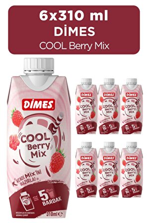 Dimes Cool Berry 310 ml 6 lı Paket