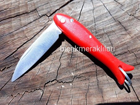 Bıçak Meraklıları Mini Kırmızı Saplı Çakı