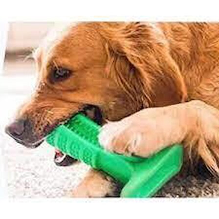 köpek diş fırçası ısırma aparatı