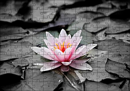 Cakapuzzle  Siyah Beyaz Lotus Yaprakları ve Pembe Nilüfer Çiçeği Puzzle Yapboz MDF Ahşap
