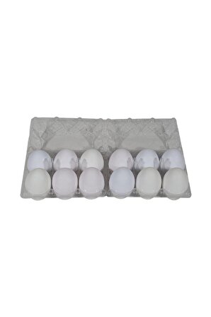 Vakumlu Kutulu 12 Lı Yumurta Eşleştirme Oyunu(2b)