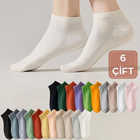 Renkli (6 Çift) Likralı Pamuklu Penye Kadın Patik Çorap