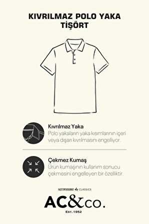 Erkek Çekmeyen Pamuklu Kumaş Regular Fit Geniş Kesim Vizon Kıvrılmaz Polo Yaka Cepli Tişört