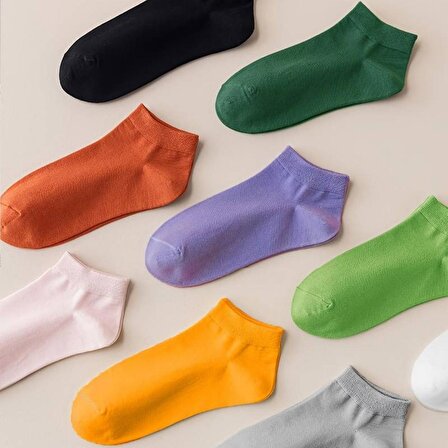 Renkli (6 Çift) Likralı Pamuklu Penye Kadın Patik Çorap