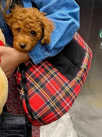 Çıkarılabilir Sert Tabanlı Çanta Yatak Olabilen Kırmızı Ekoseli Köpek Çantası