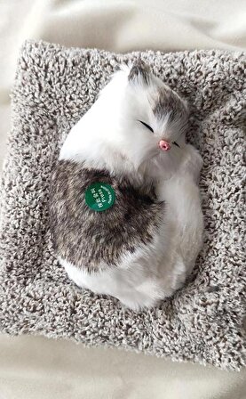 Peluş Kedi Minderde Uyuyan Ses Çıkaran Sevimli Kedi Sesli Uyku Arkadaşı Büyük Boy