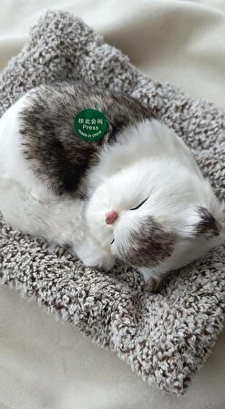 Peluş Kedi Minderde Uyuyan Ses Çıkaran Sevimli Kedi Sesli Uyku Arkadaşı Büyük Boy