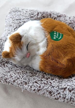 Peluş Kedi Minderde Uyuyan Ses Çıkaran Sevimli Kedi Sesli Uyku Arkadaşı Orta Boy