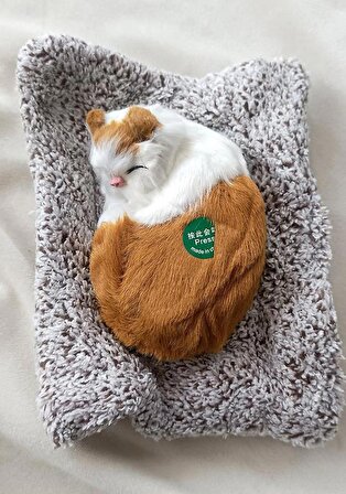Peluş Kedi Minderde Uyuyan Ses Çıkaran Sevimli Kedi Sesli Uyku Arkadaşı Orta Boy