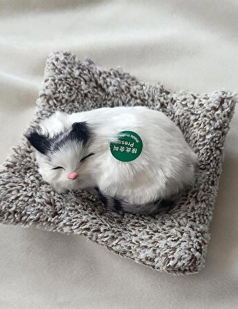 Peluş Kedi Minderde Uyuyan Ses Çıkaran Sevimli Kedi Sesli Uyku Arkadaşı Küçük Boy