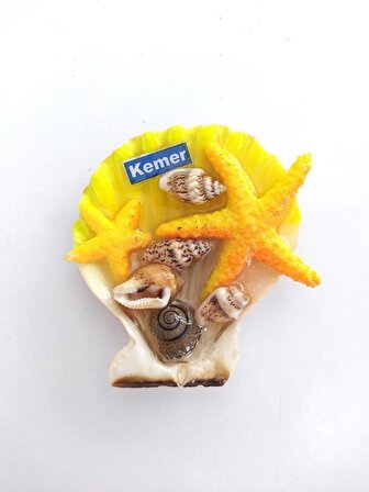 Midye Deniz Yıldızı Balık Kaplumbağa Kemer Yazılı Deniz Kabuklu Buzdolabı Süsü Magnet