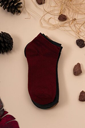 Tekstil 6'lı Renkli Kadın Penye Patik Çorap