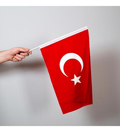 Türk Bayrağı Sopalı Bayrak (20*30 CM) 10 Adet