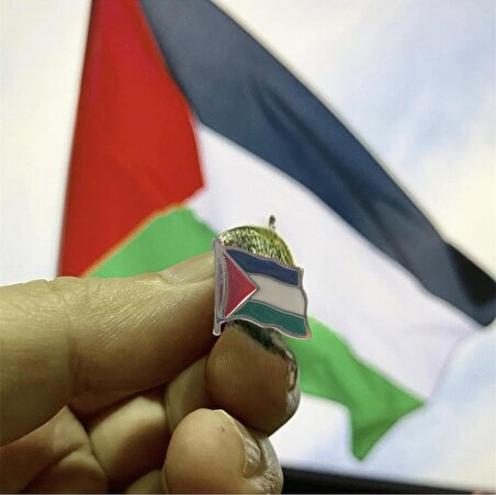 Filistin Bayrağı Kudüs - Palestine Metal Yaka İğnesi Rozet Gümüş 2 adet