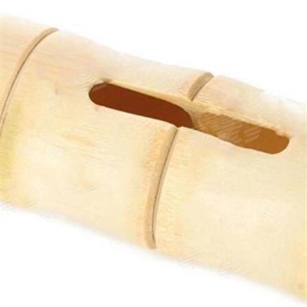 BUFFER® 6 x 1 cm Girişli Kılıflı Bambu Ağacı Akustik Ses Yükseltici Aparat