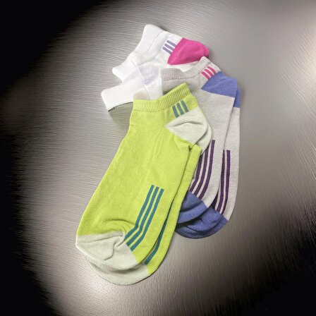 6’lı Rengarenk Kadın Spor Patik Çorap