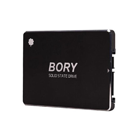 Bory R500 SSD 512GB 2.5" SATA3 550-510MB/s (3 Yıl Garantili) (R500-C512G)