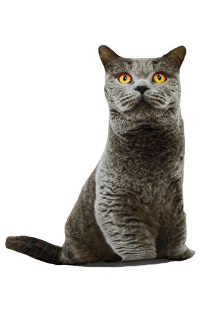 NİSHEV 3D Dijital baskılı kedi yastık BRİTİSH SHORTHAİR kedi