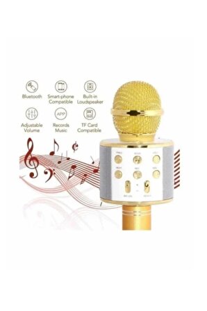 Subzero Gold TV50 Karaoke Bluetooth Mikrofon Hoparlörlü (Türkçe Seslendirme)