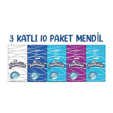 Familia Kağıt Cep Medil - 21x21 Cm. - 10 Adetlik 10 Paket x 3