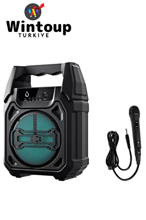 Karaoke Hoparlörü Taşınabilir Bluetooth Hoparlör
