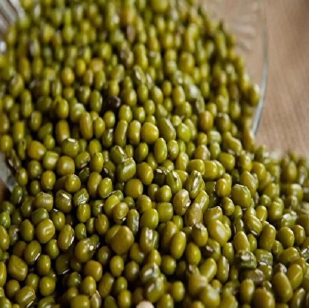 Maş Fasulyesi Glutensiz Yüksek Protein Lif, Tam Yeşil Tane 1 Kg