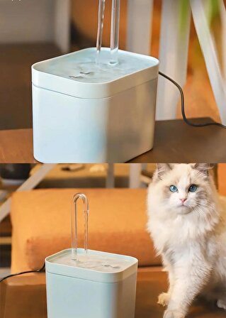Kedi ve Köpek İçin Ultra Sessiz Su Pınarı, Su Çeşmesi, Su Sebili (1.5L)
