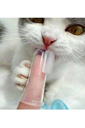 %100 Medikal Gıda Kalitesinde Zararlı Madde Içermeyen Kedi Köpek Diş Temizleme Fırçası