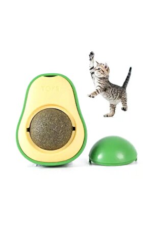 2 Adet Kedi Oyuncağı 1 Adet Tüy Açma Tarağı Avokado Kedi Nanesi Diş Fırçası Zilli Kedi Tasması Seti