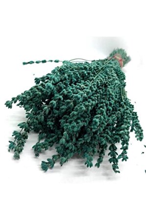 Şoklanmış Dökülmeye Dayanıklı Gerçek Lavanta Demeti Yeşil 40-50 Cm