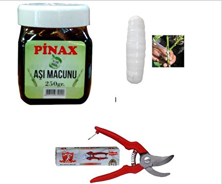 Pinax Aşı Seti 2 - Aşı Macunu + Aşı Bandı + Bağ Bahçe Makası