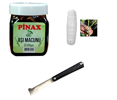 Pinax Aşı Seti 1 - Aşı Macunu + Aşı Bandı + Aşı Çakısı