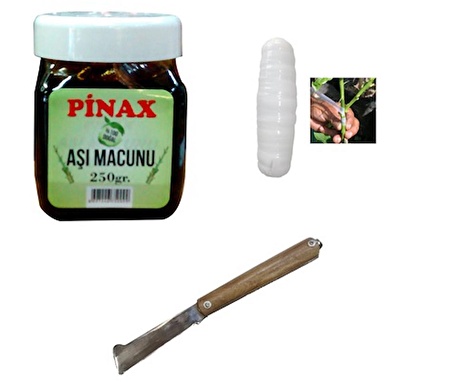 Pinax Aşı Seti 1 - Aşı Macunu + Aşı Bandı + Aşı Çakısı