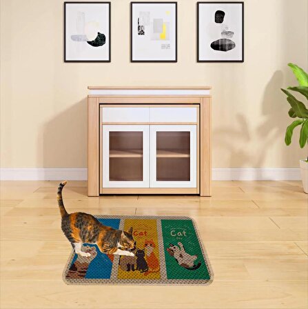 Kedi Tırmalama Paspası 60 x 80 cm