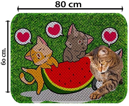 Kedi Tırmalama Paspası 60 X 80 cm