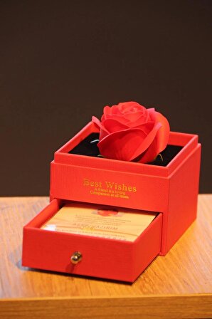 Sevgiliye Romantik Hediye Kırmızı Gül İçinde Mücevher Kutusu