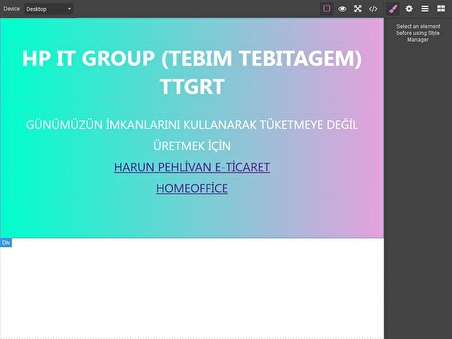 WEB EDİTÖR