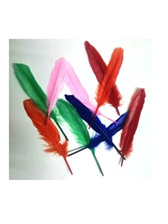 Hayal Sepeti Kuş Tüyü Renkli 12adet