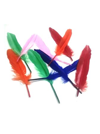 Hayal Sepeti Kuş Tüyü Renkli 10adet